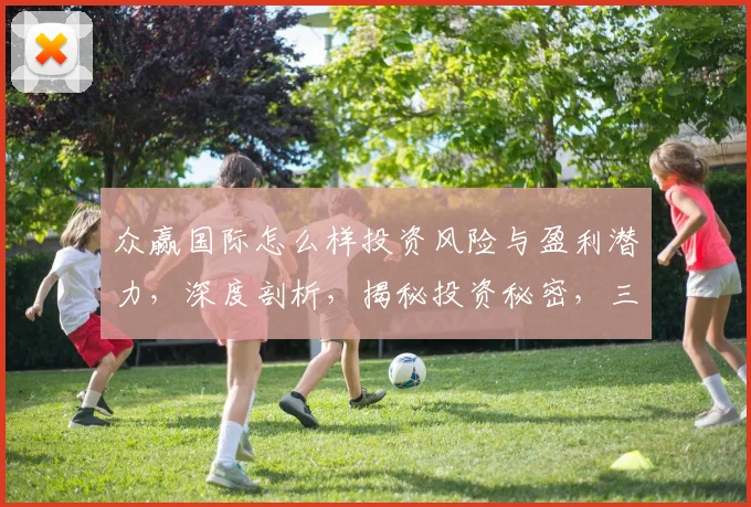 众赢国际怎么样投资风险与盈利潜力，深度剖析，揭秘投资秘密，三大要点不容忽视，必看